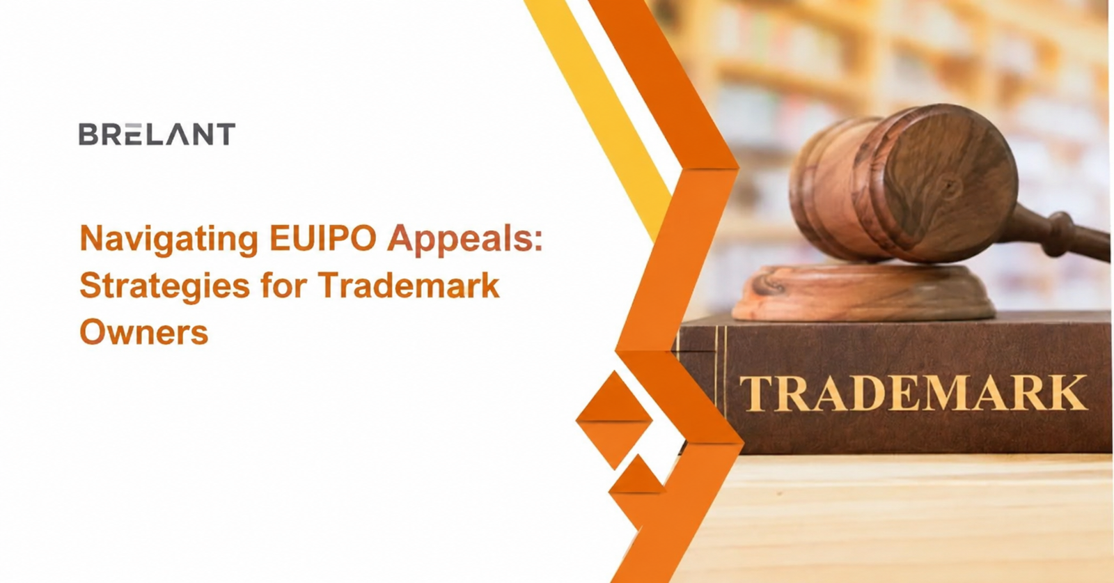 Navegando por las apelaciones de la EUIPO: estrategias para propietarios de marcas