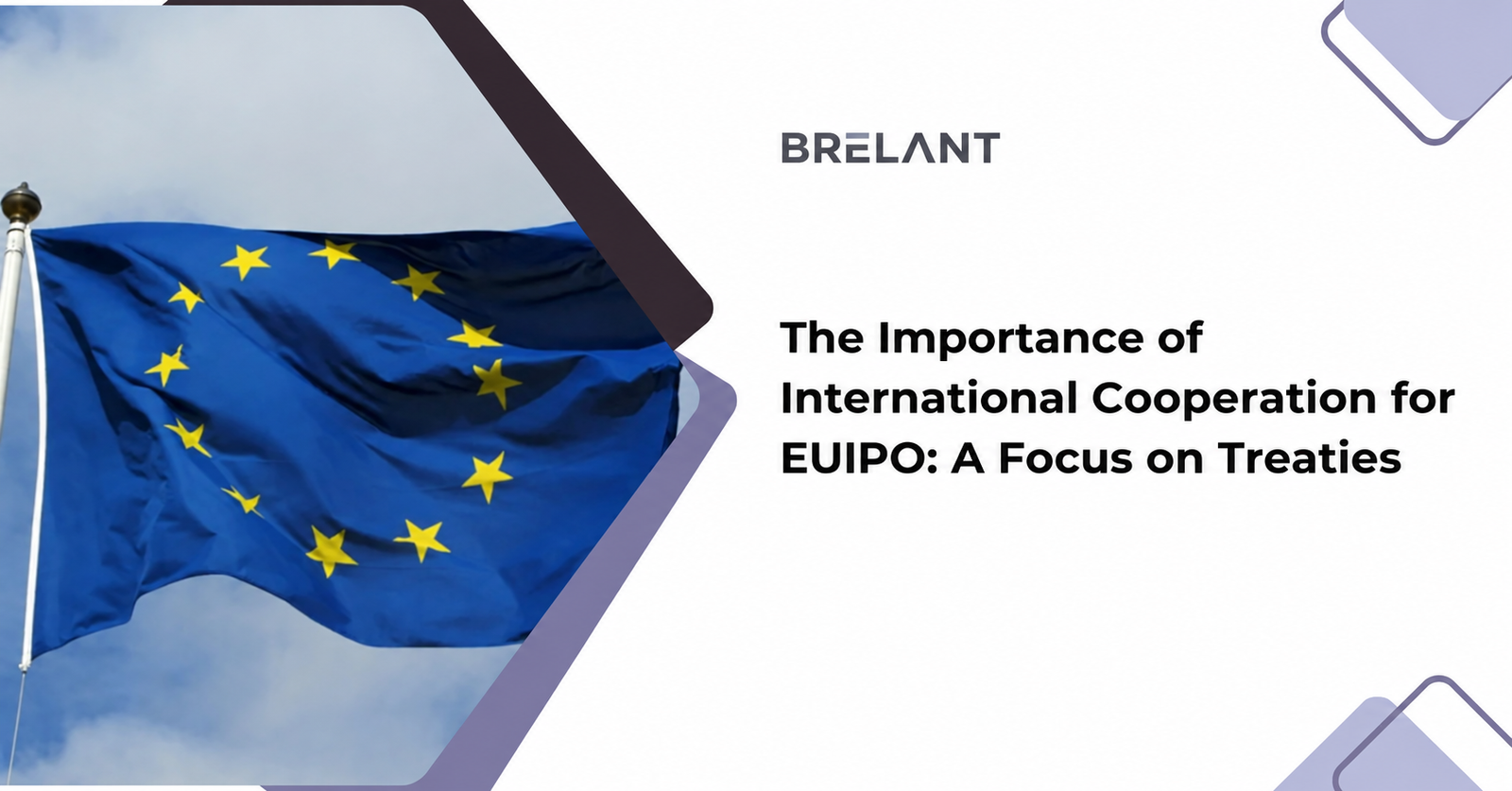 La importancia de la cooperación internacional para la EUIPO: un enfoque en los tratados