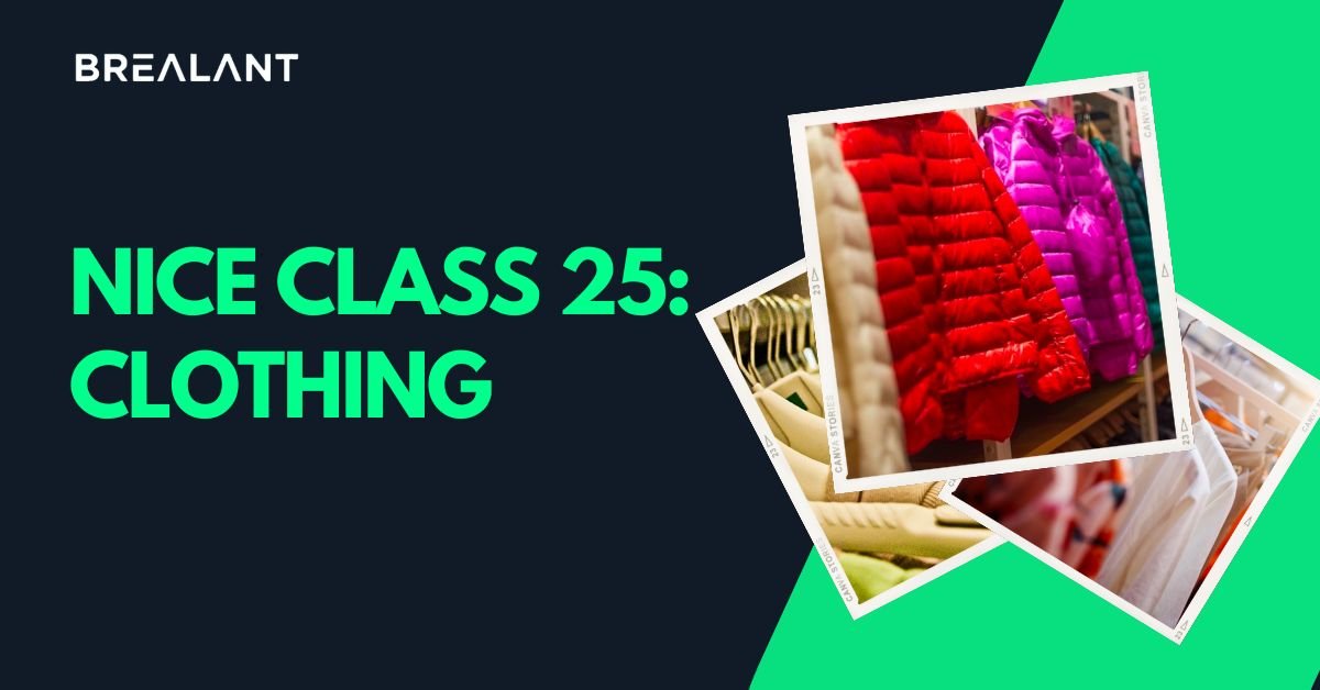 Nice Class 25: Clothing